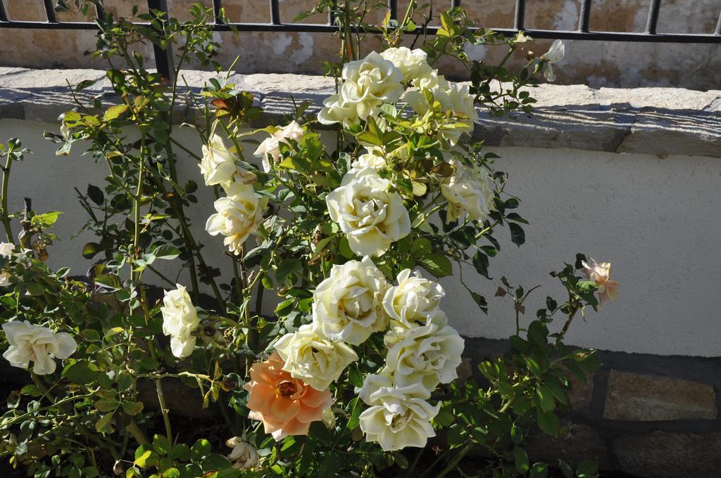 Bed & Breakfast El Nur Bed & Breakfast