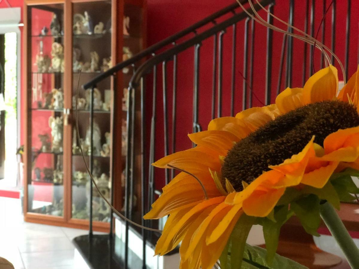 El Nur Bed and breakfast San Vito Lo Capo