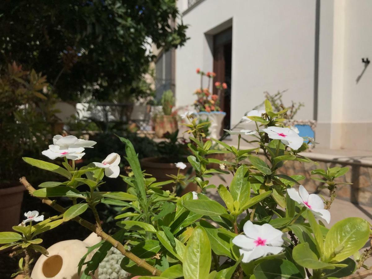 Bed and breakfast El Nur 2*